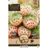 Overig 2 aardbeien pineberry