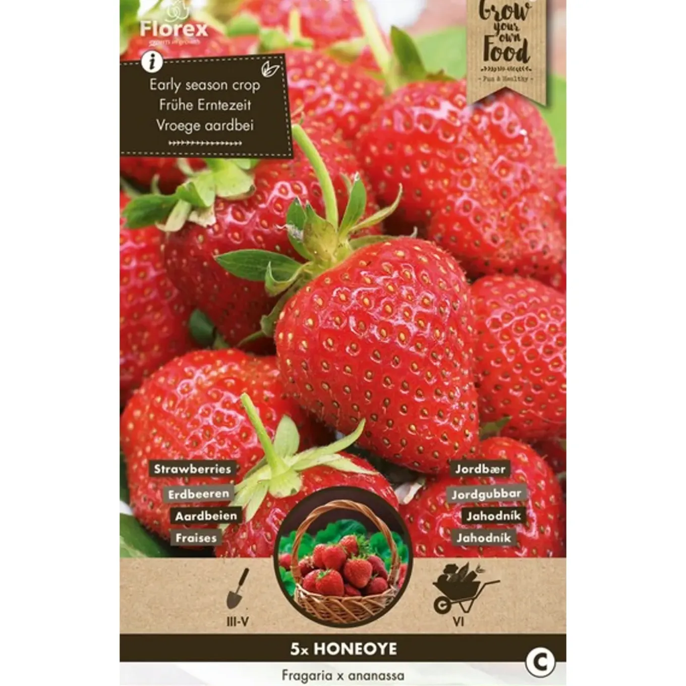 5 aardbei honeyo