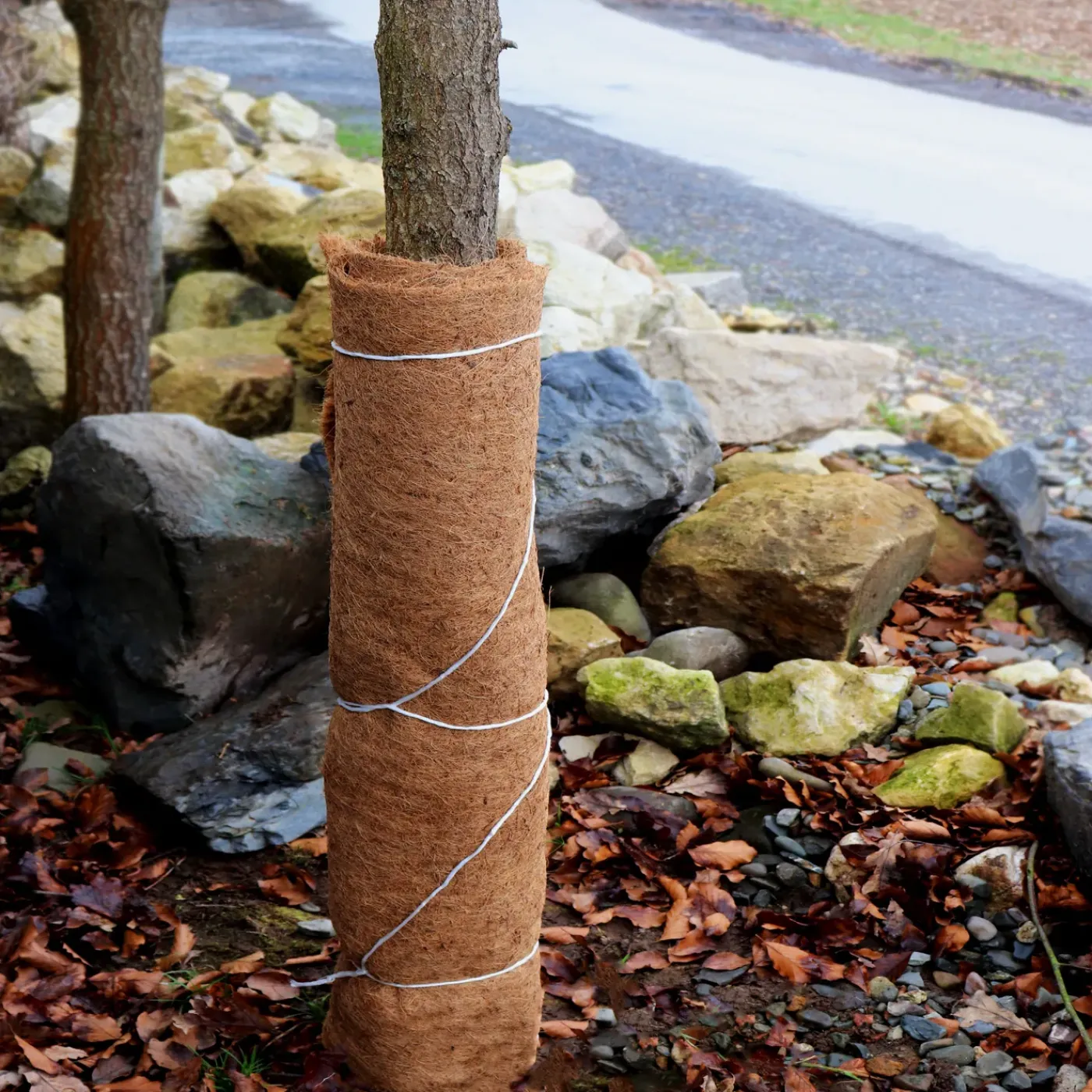 Aquagart Kokosmat 50m Lang 0,50m Breed 800g/m² Kokosmat Winterbescherming Taludmat