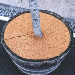 Aquagart Kokosmulchschijven 37cm 3 Stuks Kokosvezelmat Plantenbeschermingsmat