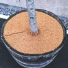 Aquagart Kokosmulchschijven 60cm 2 Stuks Kokosvezelmat Plantenbeschermingsmat
