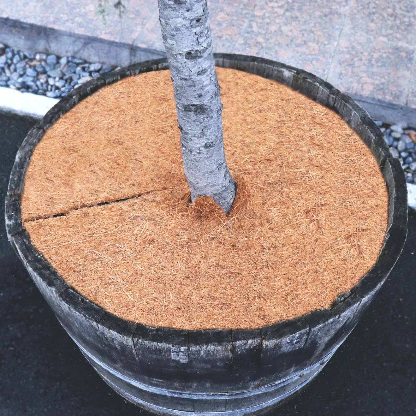 Aquagart Kokosmulchschijven 60cm 2 Stuks Kokosvezelmat Plantenbeschermingsmat