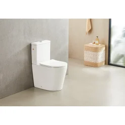 AquaVive – Praxis Eigen Merk Aquavive Duoblok toilet Esino met randloze toiletpot - wit
