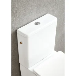 AquaVive – Praxis Eigen Merk Aquavive Duoblok toilet Esino met randloze toiletpot - wit