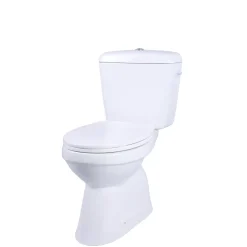 AquaVive duoblok toilet Ippari I AO aansluiting I Soft-close toiletzitting wit