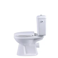 AquaVive – Praxis Eigen Merk Aquavive Ippari Duoblok toilet met softclose toiletzitting - PK - wit