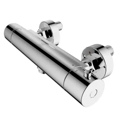 AquaVive – Praxis Eigen Merk Aquavive Thermostatische Douchekraan Junin - Chroom - 15 cm