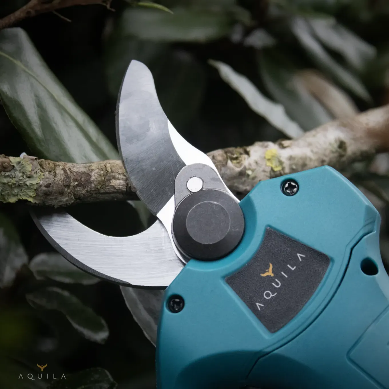 Aquila Elektrische Snoeischaar Met 2x 2000 Mah Accu - Takkenschaar Tot 32mm - Tuinschaar & Snoeizaag