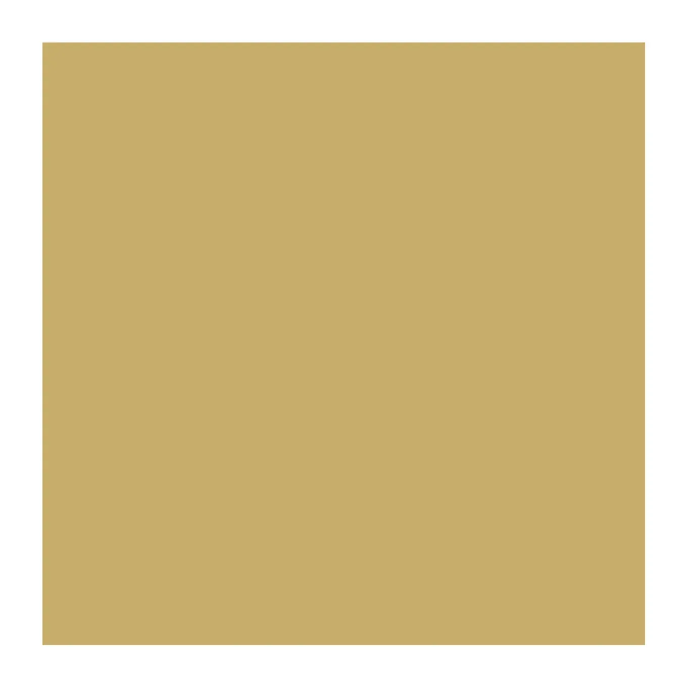Arcane Industries - Beloopbare Afwerkingshars Arcathan Trafic Nabijbeige Dichtbij Ral 1001 - 4 Kg