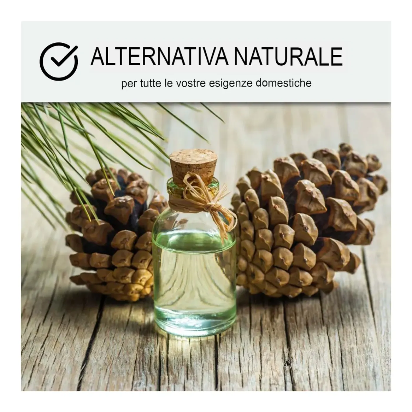 ARCANE INDUSTRIES - Pure Terpentijnolie Terpentijnolie 101 - 1 L