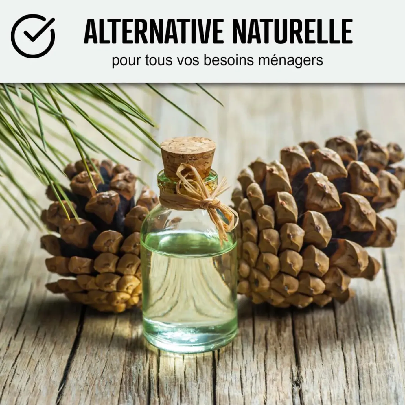ARCANE INDUSTRIES - Pure Terpentijnolie Terpentijnolie 101 - 1 L