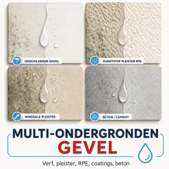 Arcane Industries - Reiniger Renovator Pleisterwerk Gevel - Gevelrenovator - 5 L