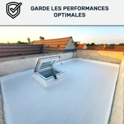 Arcane Industries - Reiniger Voor Afdichtingshars, Cool Roof & Steintapijt Arcane 235 - 5 L