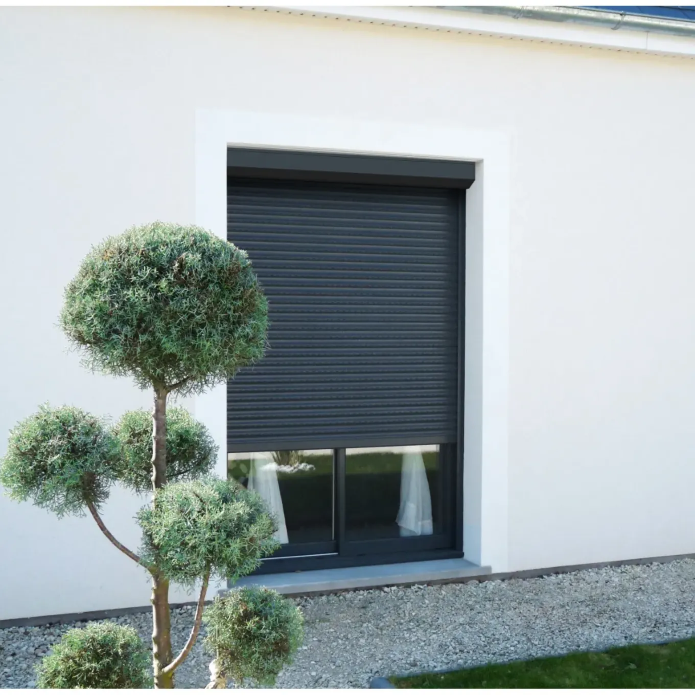 Avosdim Rolluik Elektrisch Bedraad Somfy Alu Grijs 7016 B180 X H215 Cm Inkortbaar