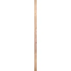 Balk - Ruw - Vuren - 46x100mm - 270cm