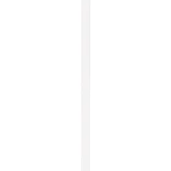Praxis Baseline Muurplint Budget Style Wit - MDF - Folie - 240cm - 14x120mm