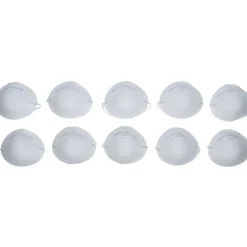 Bgs Hygiënemaskers 10 Stuks