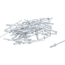 BGS Do it yourself Bgs Popnagel Assortiment Diam. 3,2 Mm, 50 Delig