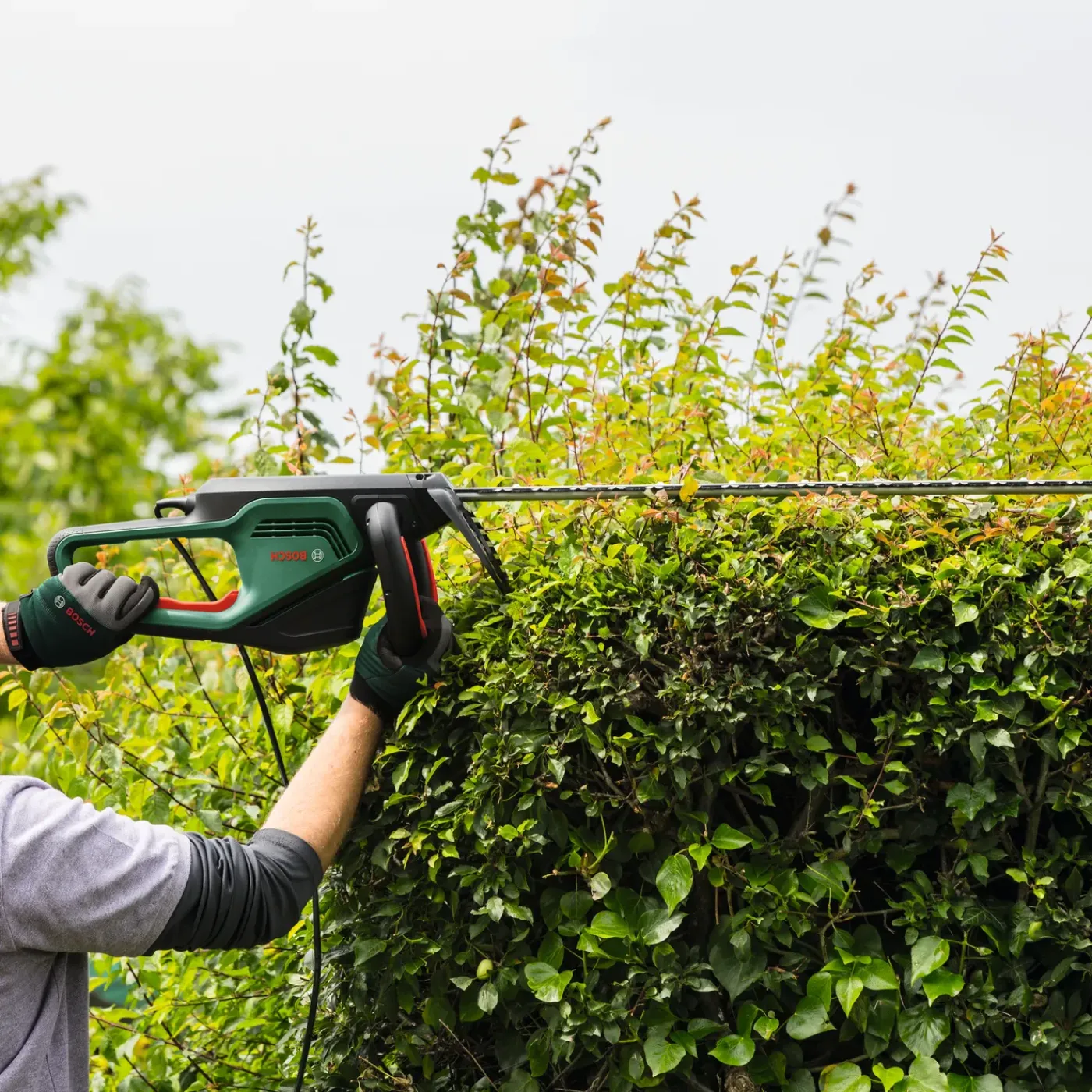 Bosch Elektrische Heggenschaar AdvancedHedgeCut 65 - 500W - 65cm