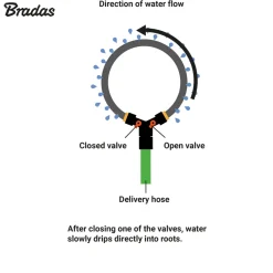 Bradas Aqua Drop Boomdruppelslang Met Kraantjes 1/2" - 1.5 Meter