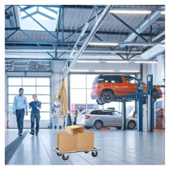 Brasq Trolley - Plateauwagen 150kg Draagvermogen - Transportkar Staal - Meubelroller - Platformwagen
