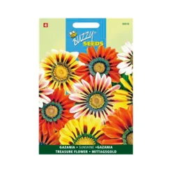 Buzzy seeds zaden gazania sunshine