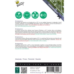 Overig Buzzy Seeds zaden kamperplant Philodendron selluom