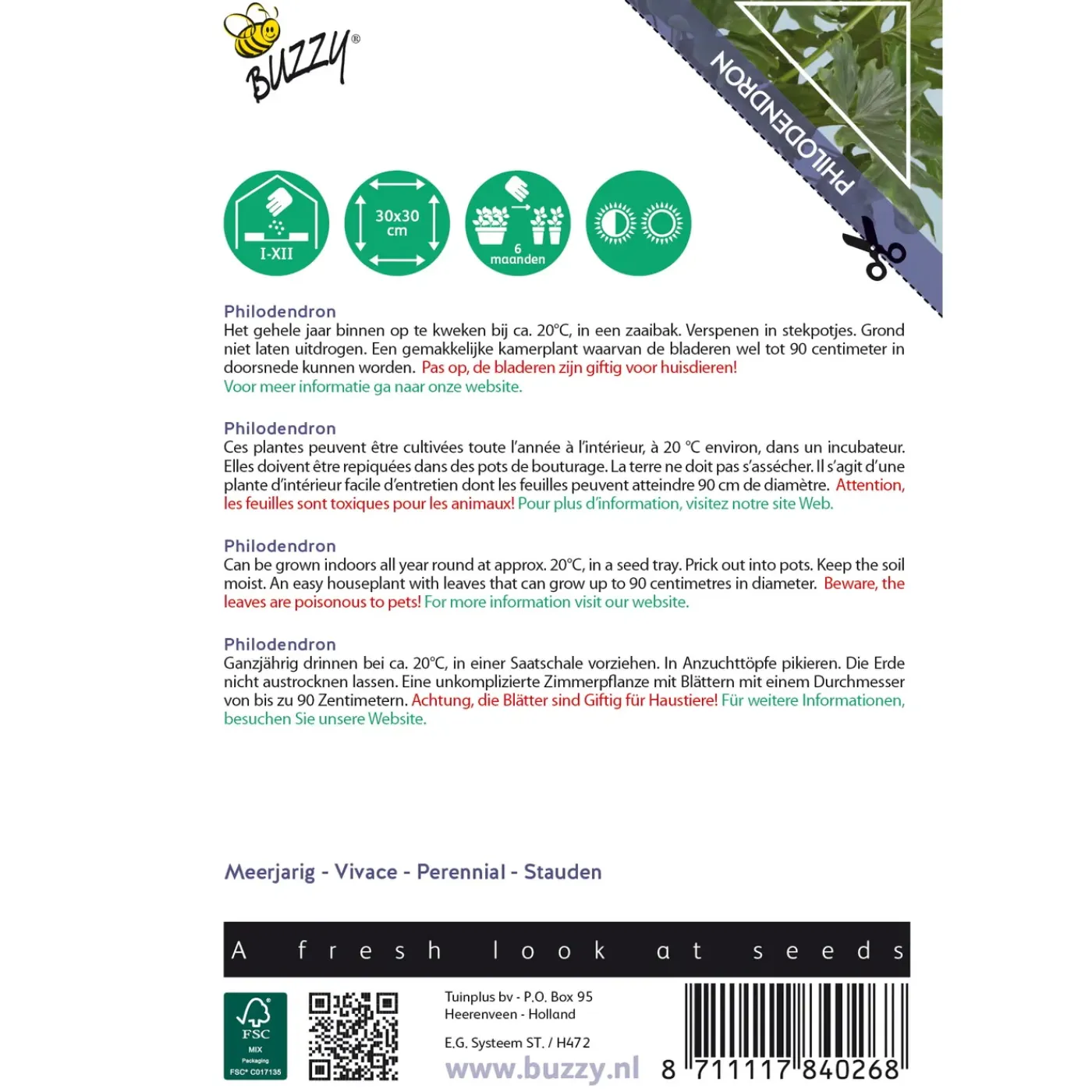 Overig Buzzy Seeds zaden kamperplant Philodendron selluom