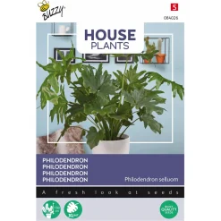 Overig Buzzy Seeds zaden kamperplant Philodendron selluom