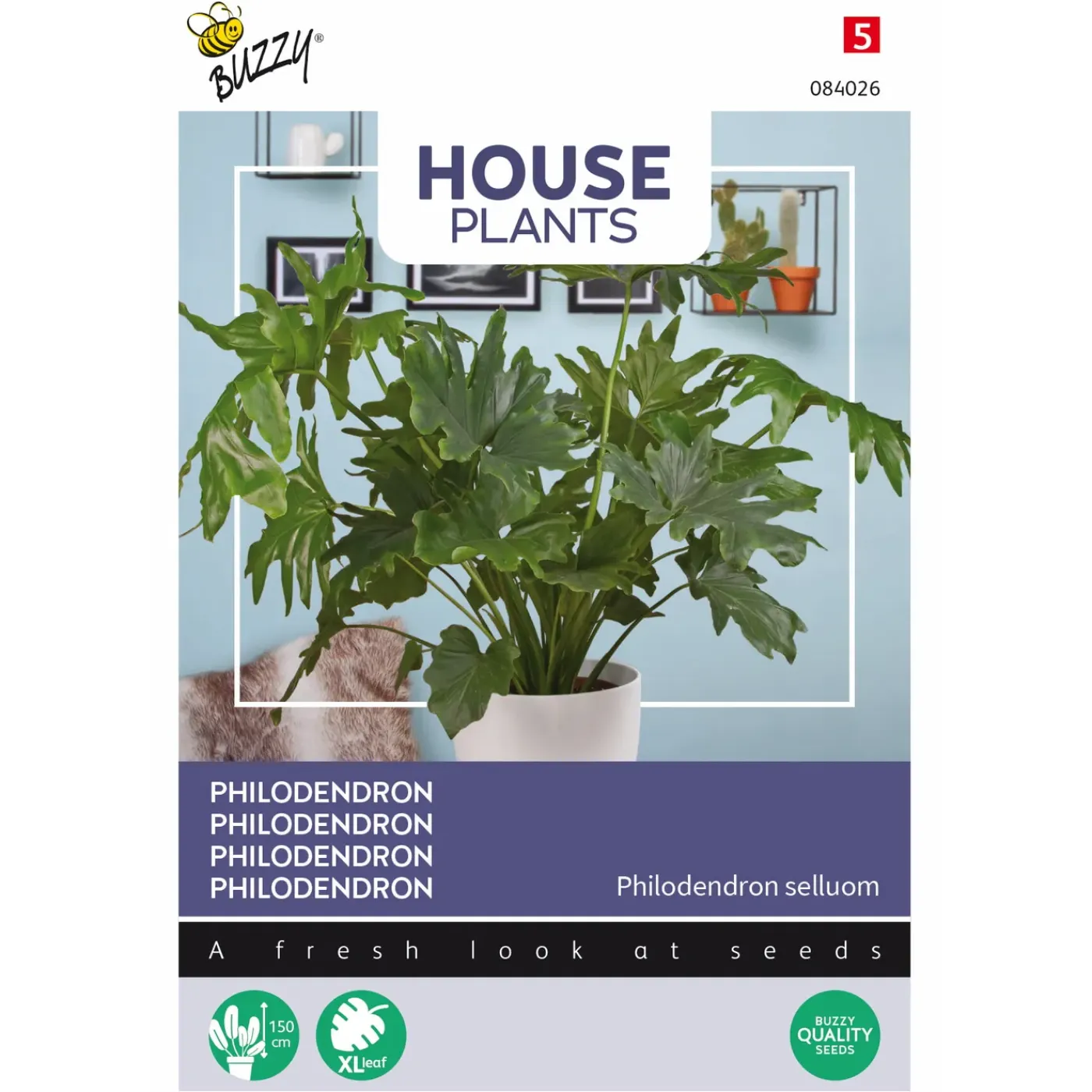 Overig Buzzy Seeds zaden kamperplant Philodendron selluom