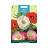 Buzzy seeds zaden klaproos shirley