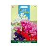 Buzzy seeds zaden reuk- of siererwt bijou