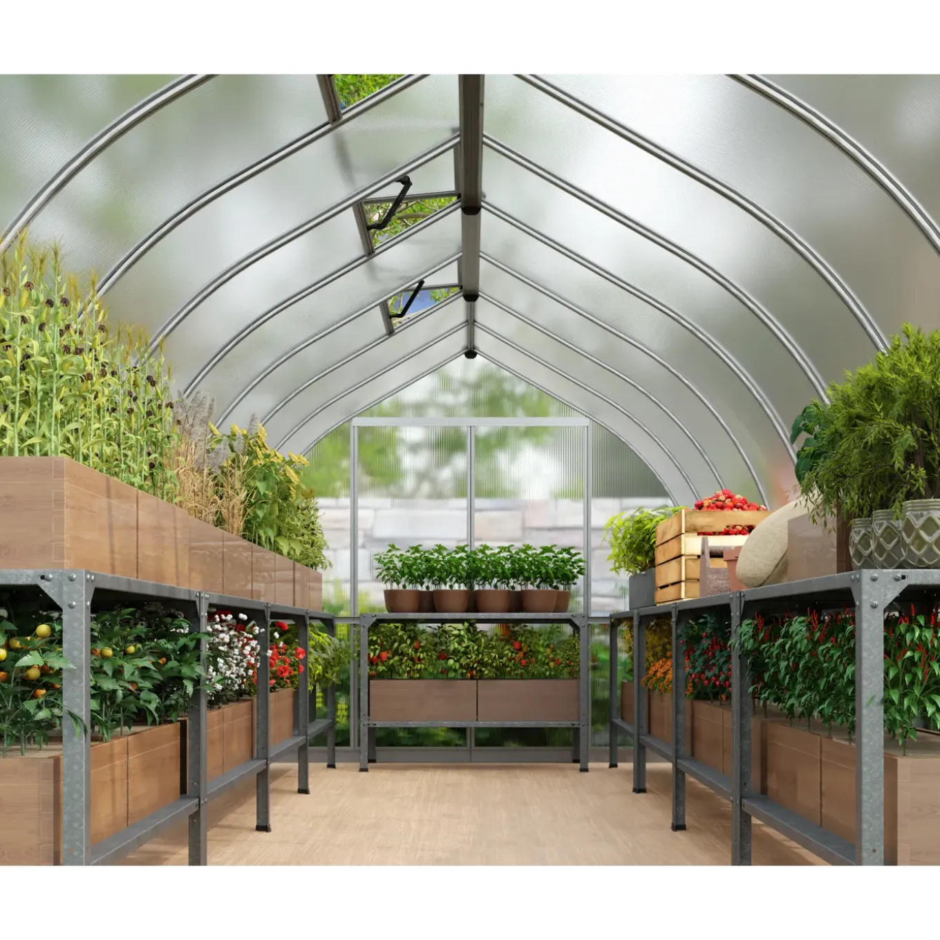 Canopia Tuinkas Bella 8x32 - Polycarbonaat 6mm - Zilver - 244x964x218cm