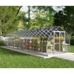 Canopia Tuinkas Bella 8x32 - Polycarbonaat 6mm - Zilver - 244x964x218cm