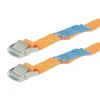 Carpoint Sjorband met Snelsluiting - 4,5mx25mm - 250kg - 2 stuks