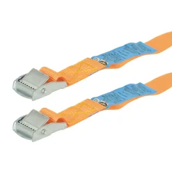 Carpoint Sjorband met Snelsluiting - 4,5mx25mm - 250kg - 2 stuks