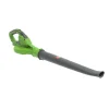 Central Park Accu Bladblazer- 20V