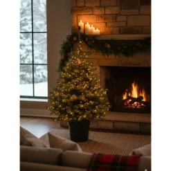 Central Park Kerstboom - Nordmann - In Pot - 100-125 cm