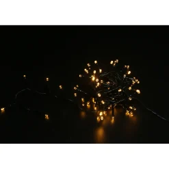 Central Park lichtslinger 100 LED warm wit 5,5m