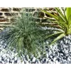Classgarden Lichtgrijze Kiezels 12-24 Pak Van 5 M² - 10 Zakkens - 200 Kg