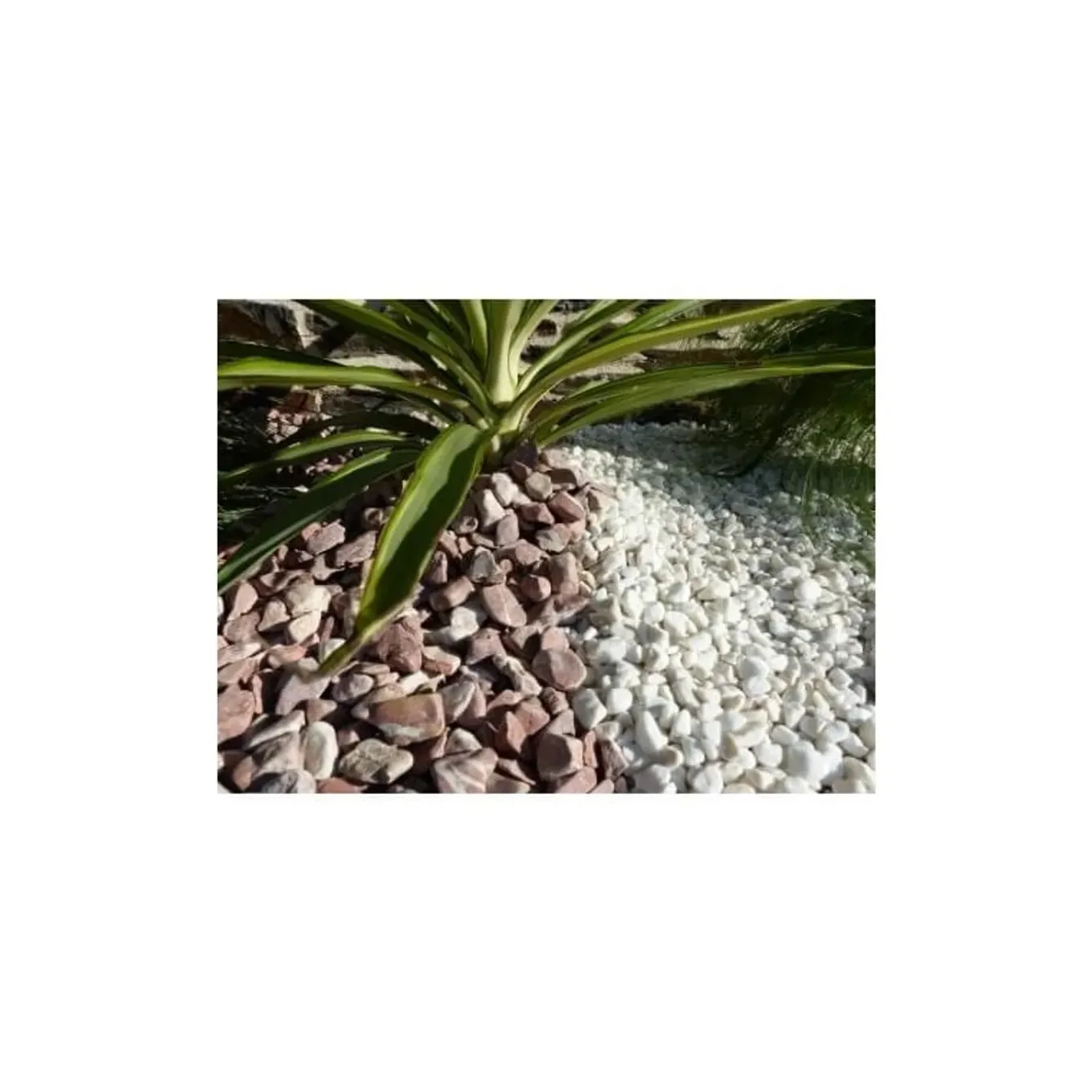 Classgarden Rode Kiezel 12-24 Pak Van 25 M² - 50 Zakkens - 1000 Kg
