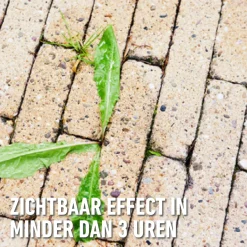 Compo Anti-Onkruid & Anti-Mos Concentraat - Voor Paden en Terrassen - 1L voor 110m²