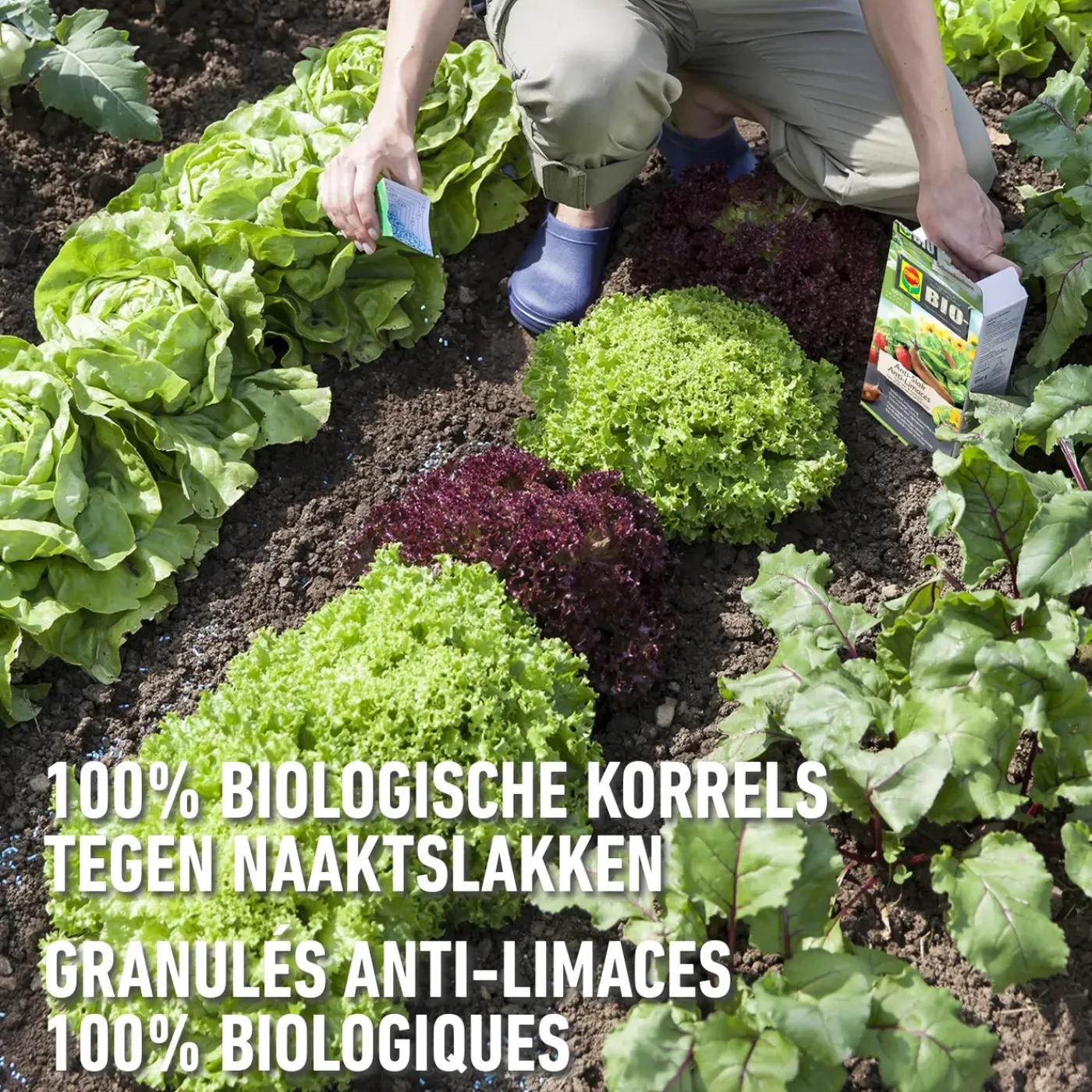 Compo Anti-Slak - 0,4kg voor 80m²