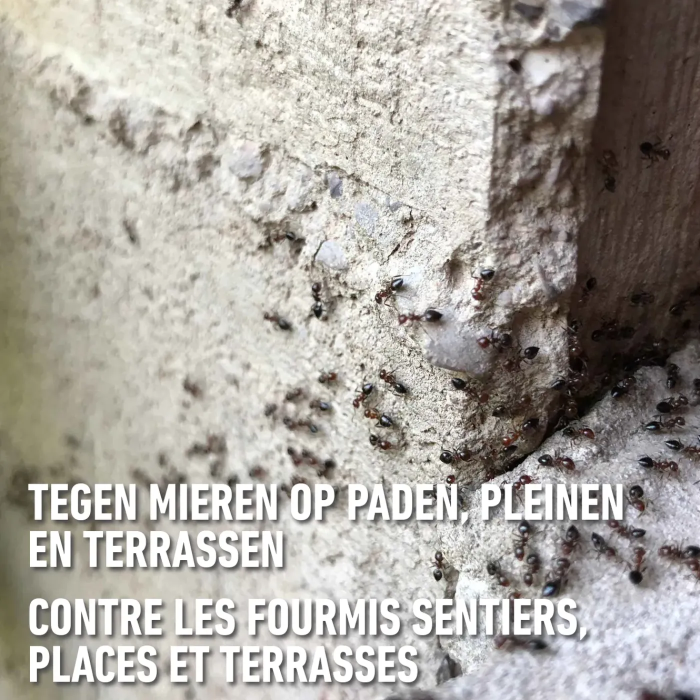 Compo Barrière Insect Mirazylgranulaat - 400g