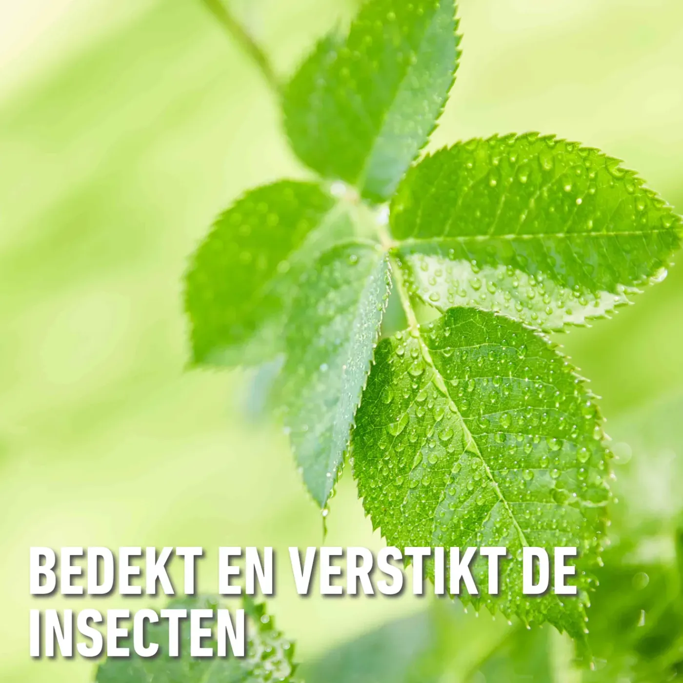 Compo Bio Insect Stop Concentraat - 250ml