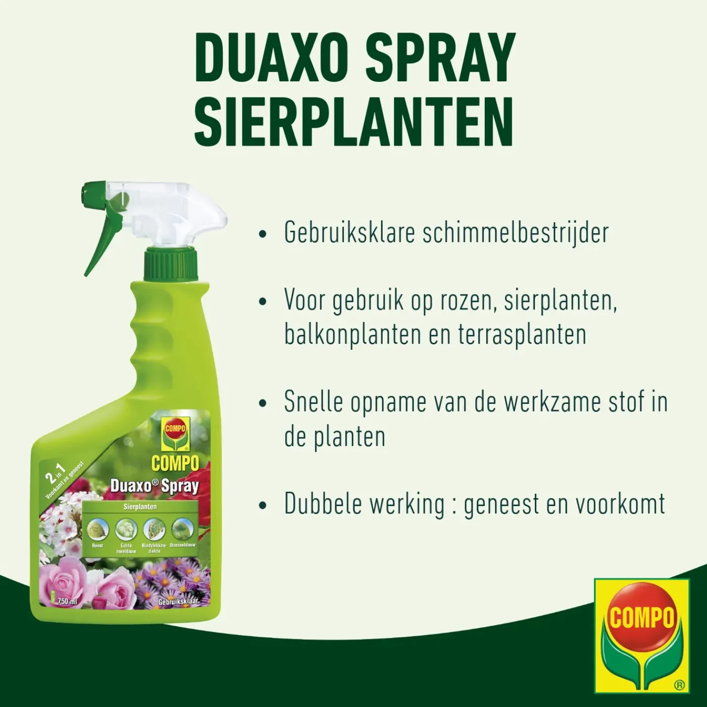 Compo Duaxo Tegen Ziekten op Sierplanten Spray - 750ml