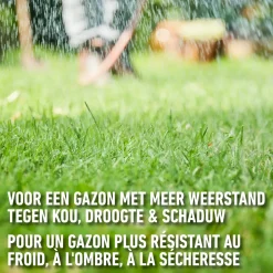 Compo gazonherstel Complete Mix 4-in-1 6m² 1,2kg