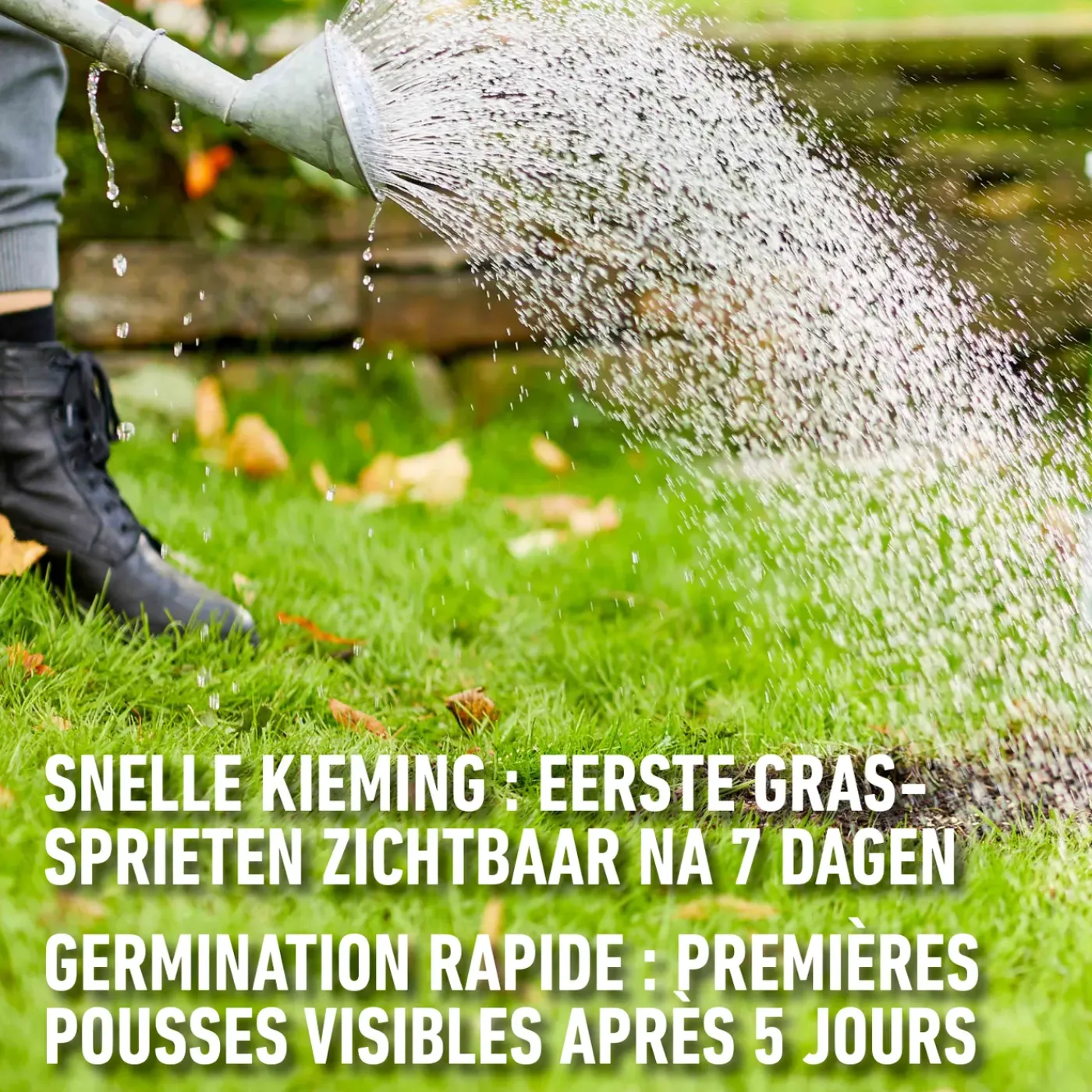 Compo gazonherstel Complete Mix 4-in-1 6m² 1,2kg