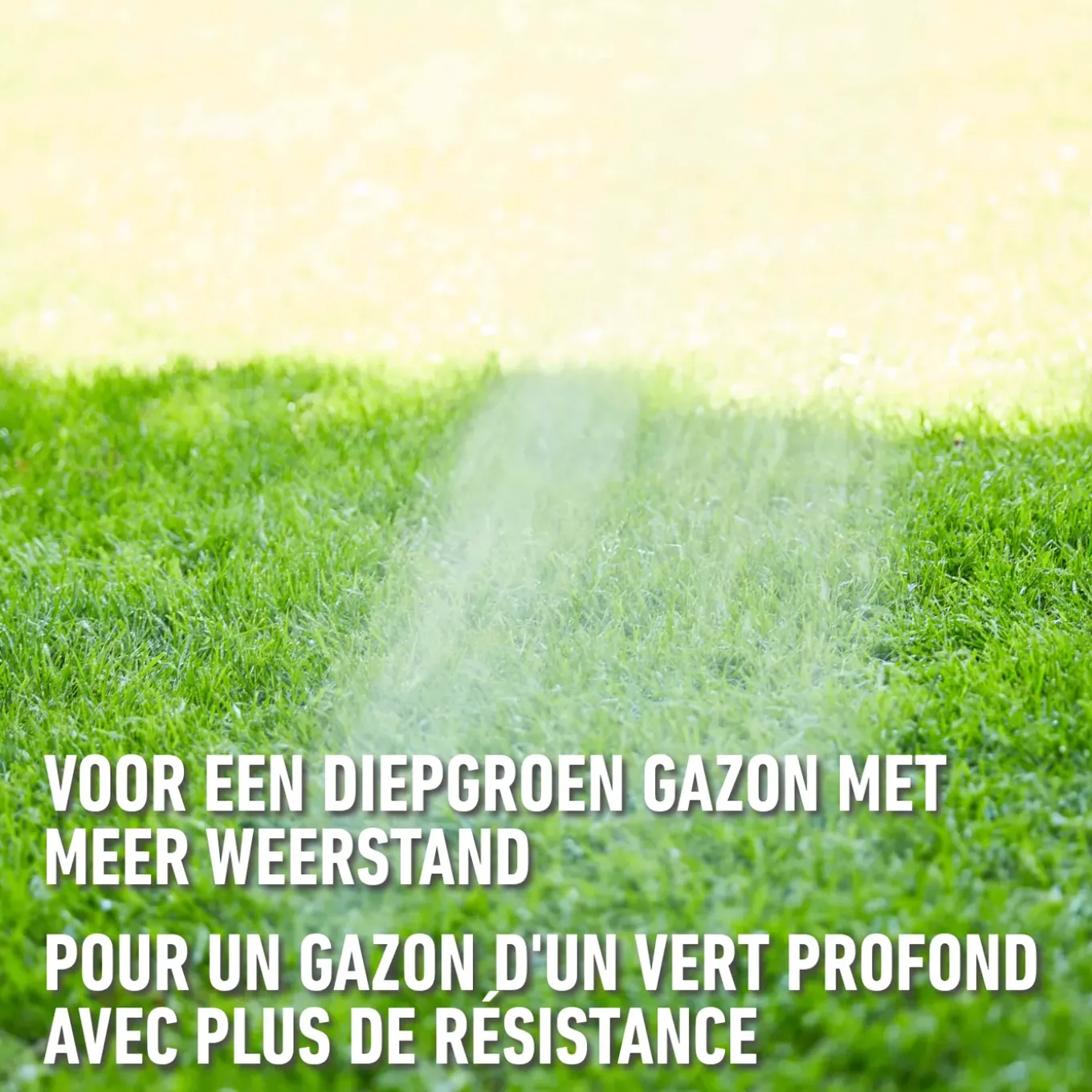 Compo gazonherstel meststof Easy Mix 2-in-1 50m² 1,2kg