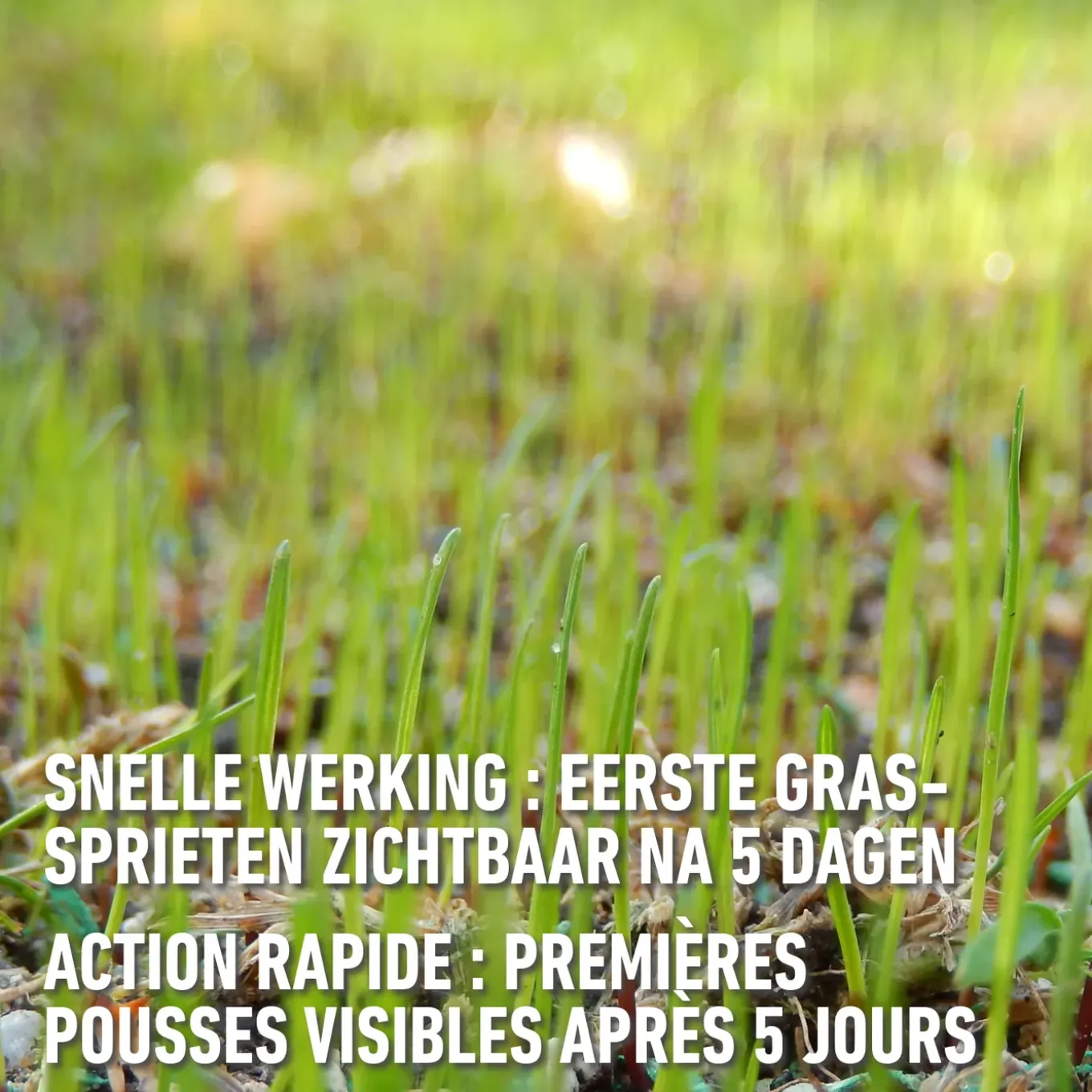Compo gazonherstel meststof Easy Mix 2-in-1 50m² 1,2kg